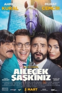 Постер Безумная семейка (Ailecek Saskiniz)