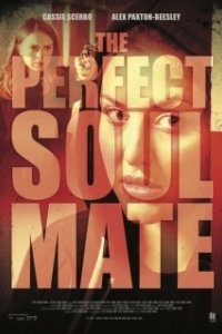 Постер Родственные души (The Perfect Soulmate)