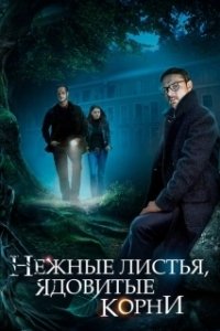 Постер Нежные листья, ядовитые корни (Нежные листья, ядовитые корни)