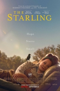 Постер Скворец (The Starling)