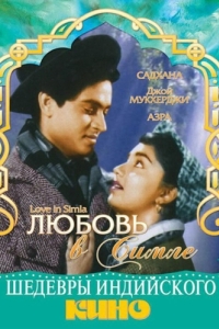 Постер Любовь в Симле (Love in Simla)