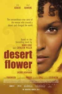 Постер Цветок пустыни (Desert Flower)