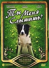 Постер Ты меня слышишь? 