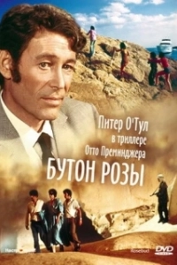 Постер Бутон розы (Rosebud)