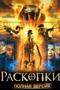 Постер Раскопки (Bonekickers)