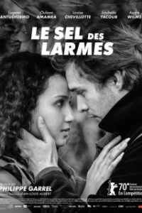 Постер Соль слёз (Le sel des larmes)
