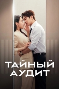 Постер Тайный аудит (Eunmilhan gamsa)