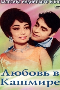 Постер Любовь в Кашмире (Arzoo)