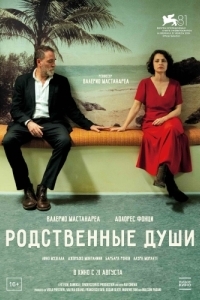 Постер Родственные души (Nonostante)