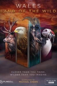 Постер Уэльс: дикая земля (Wales: Land of the Wild)