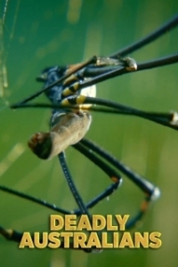 Постер Смертоносные австралийцы (Deadly Australians)