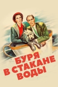 Постер Буря в стакане воды (Storm in a Teacup)