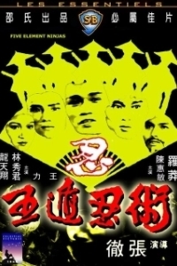 Постер Ниндзя пяти стихий (Chinese Super Ninjas)