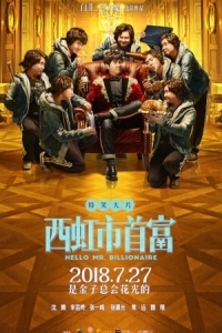 Постер Привет, мистер Миллиардер (Xi hong shi shou fu)