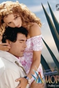 Постер Очищенная любовь (Destilando amor)