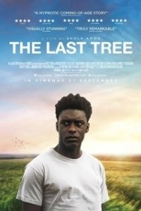 Постер Последнее дерево (The Last Tree)