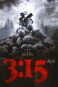 Постер 3:15 ночи (3:15 am)