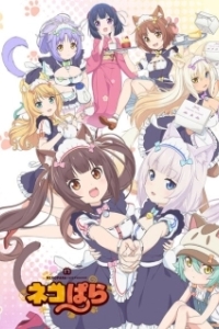 Постер Кошачий рай (Nekopara)