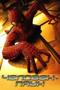 Постер Человек-паук (Spider-Man)