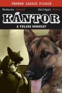 Постер Кантор - собака-детектив (Kántor)