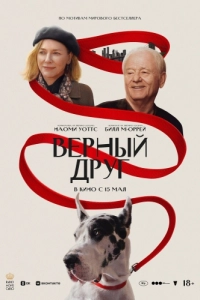 Постер Верный друг (The Friend)