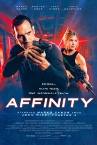 Постер Влечение (Affinity)