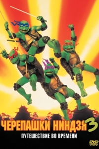 Постер Черепашки-ниндзя 3 (Teenage Mutant Ninja Turtles III)