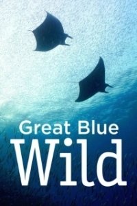 Постер Великая синяя бездна (Great Blue Wild)