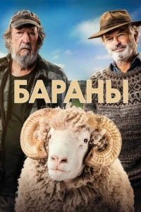 Постер Бараны (Rams)