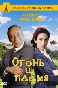Постер Огонь и пламя (Tout feu tout flamme)
