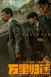 Постер Возвращение домой (Wan li gui tu)
