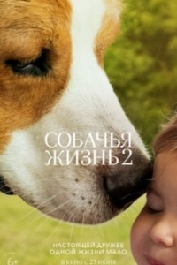 Постер Собачья жизнь 2 (A Dog's Journey)