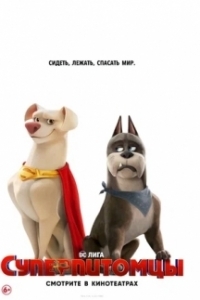 Постер Суперпитомцы (DC League of Super-Pets)