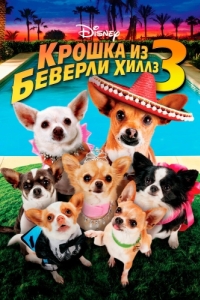 Постер Крошка из Беверли-Хиллз 3 (Beverly Hills Chihuahua 3: Viva La Fiesta!)