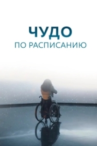 Постер Чудо по расписанию (Чудо по расписанию)
