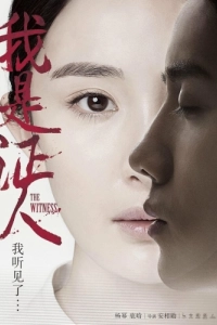 Постер Свидетель (Wo shi zheng ren)
