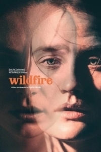 Постер Из огня да в полымя (Wildfire)