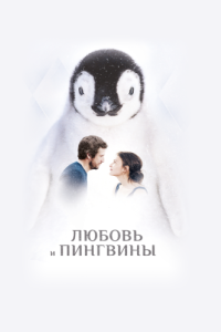 Постер Любовь и пингвины (Le secret des banquises)