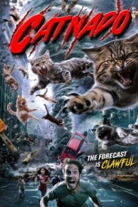 Постер Кошачий торнадо (Catnado)