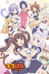 Постер Кошачий рай (Nekopara)