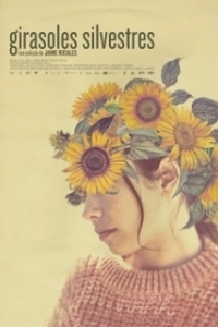 Постер Дикие подсолнухи (Girasoles silvestres)