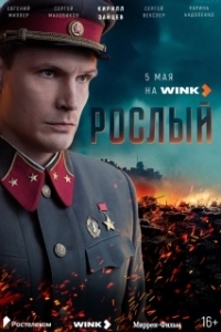 Постер  