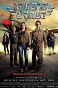 Постер Приключение в небе (Sky Raiders)