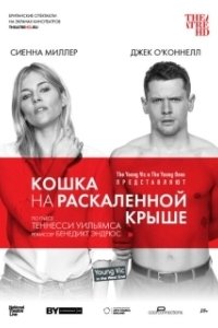 Постер Кошка на раскалённой крыше 