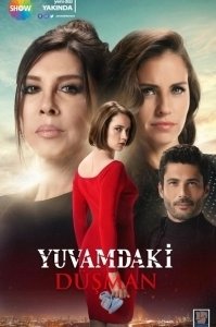 Постер Враг в моём доме (Yuvamdaki Düsman)