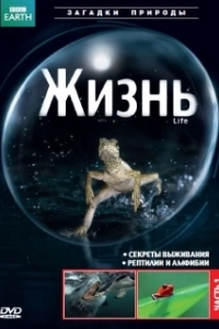 Постер BBC: Жизнь (Life (UK))