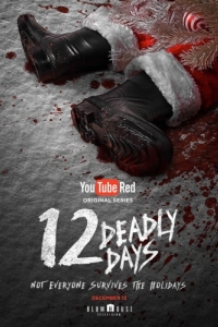Постер 12 смертельных дней (12 Deadly Days)