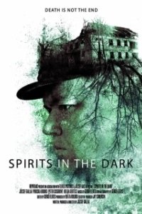 Постер Духи в темноте (Spirits in the Dark)