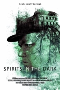 Постер Духи в темноте (Spirits in the Dark)