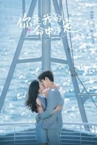 Постер Ты моя судьба (Ni shi wo de ming zhong zhu ding)
